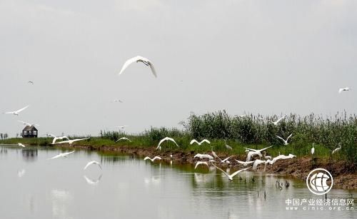 山西：28项优先行动推进全省生物多样性保护