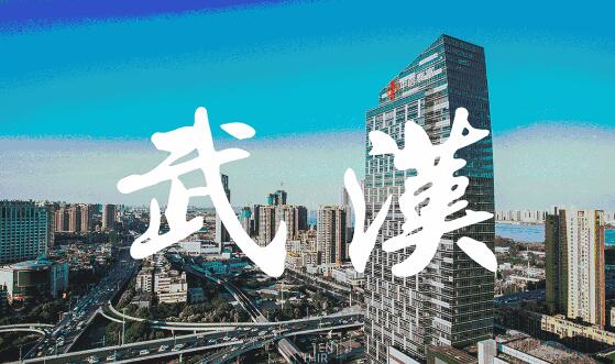 湖北武汉：加快发展现代都市农业 推进乡村全面振兴