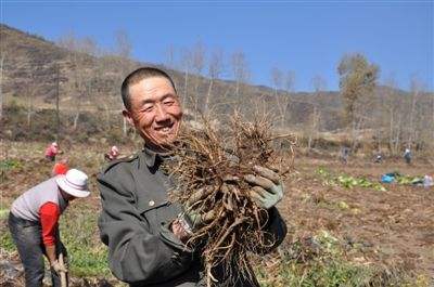 青海脱贫攻坚成果有效巩固