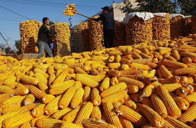 最高奖励15万元 山西奖励举报粮食购销违法违规行为